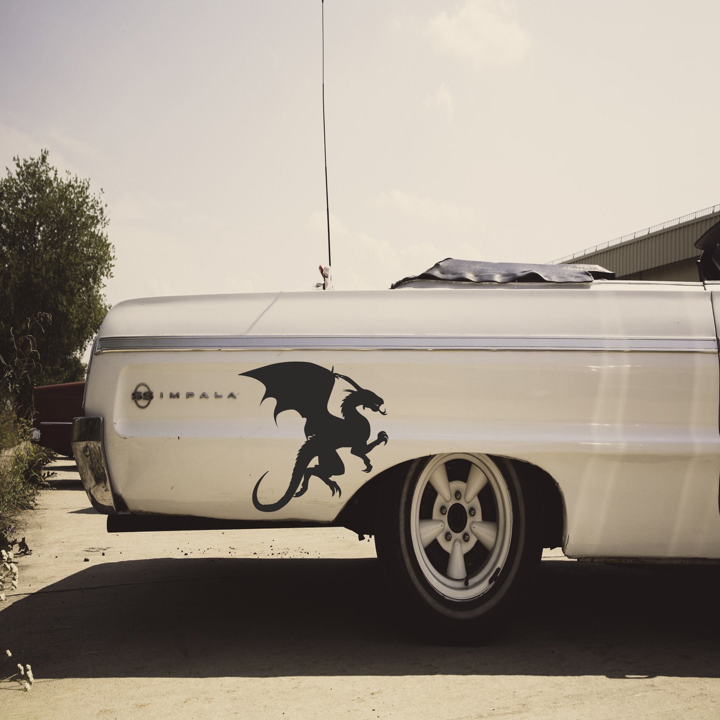 Zwierze nr 06 - Smok 6.prezentacja