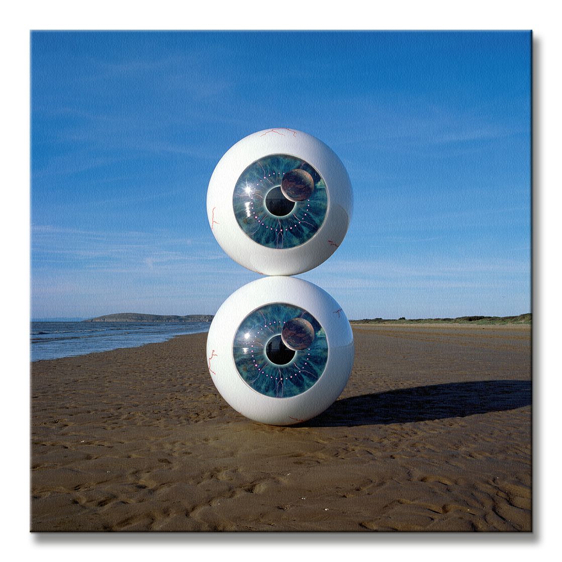 Pink Floyd (Pulse Eyeballs) - Obraz na płótnie - obrazek 2