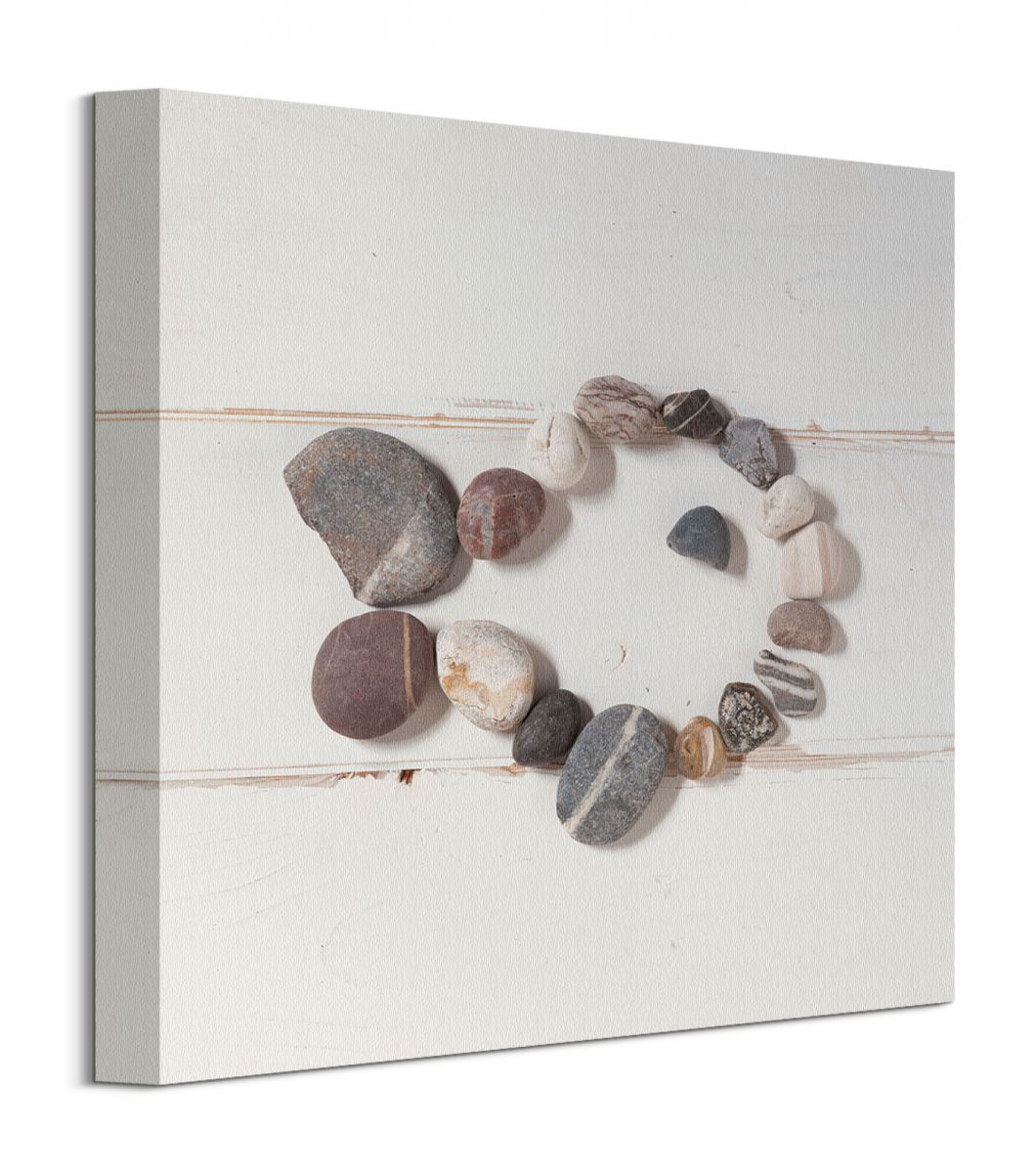 stone-fish-obraz-na-plotnie-30x30-cm