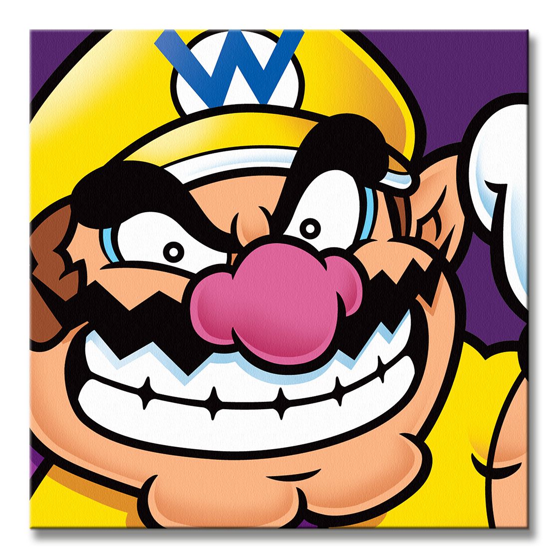 super-mario-wario-obraz