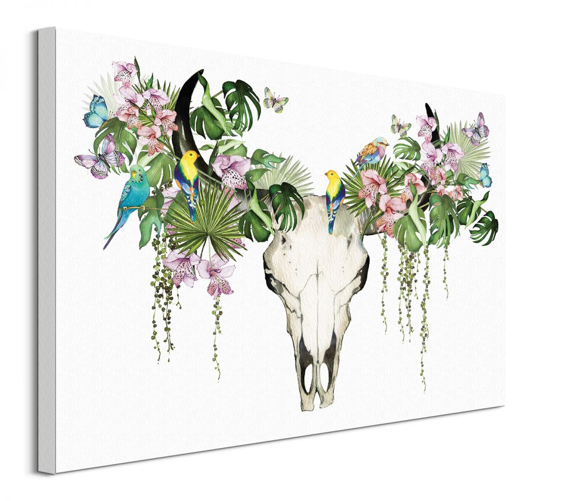 wdc100084-80x60-p-jpg