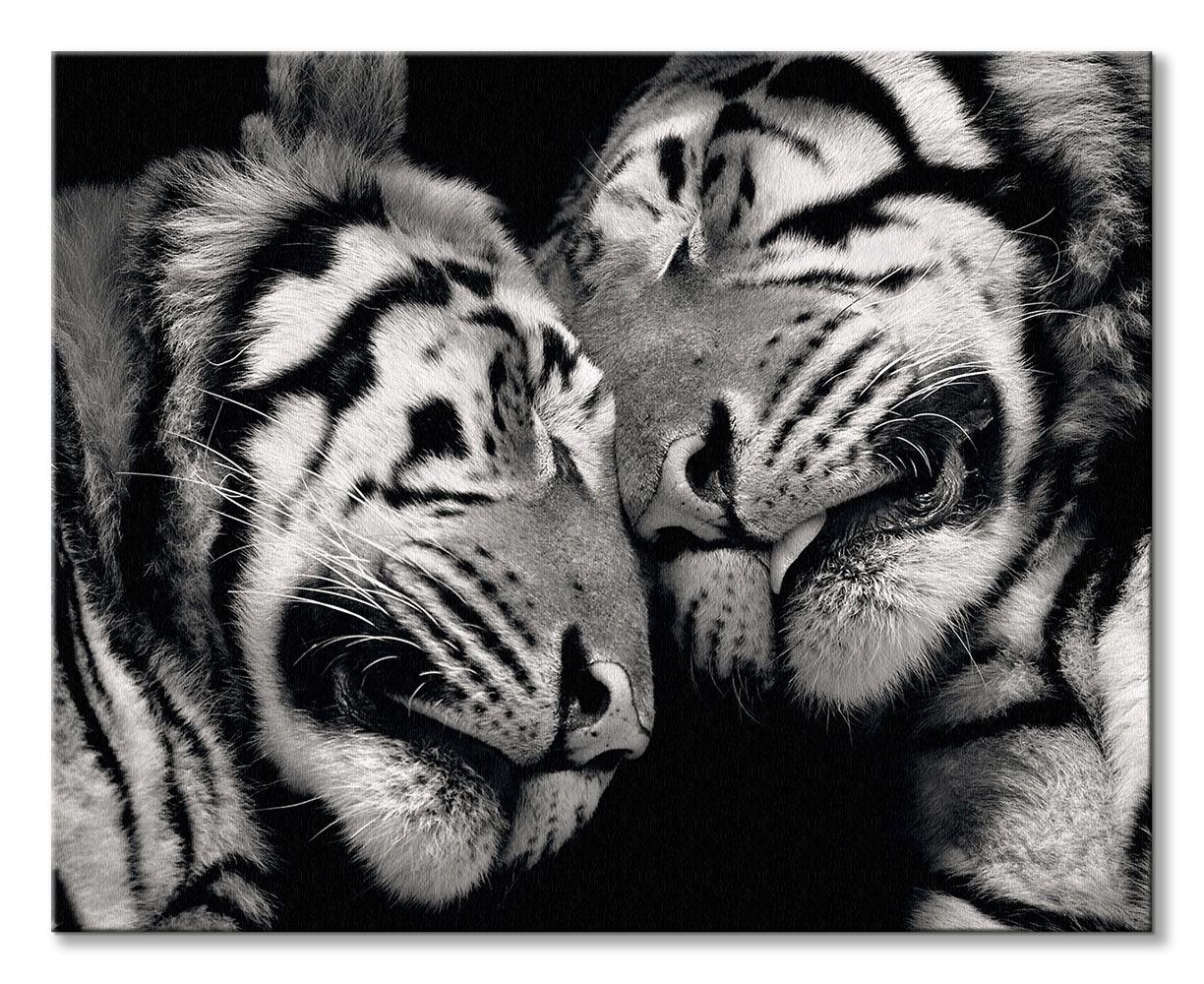 Sleeping Tigers - obraz na płótnie - obrazek 2