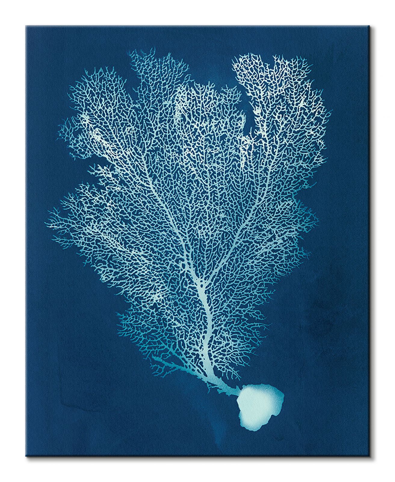 Sea Fan I - obraz na płótnie - obrazek 2