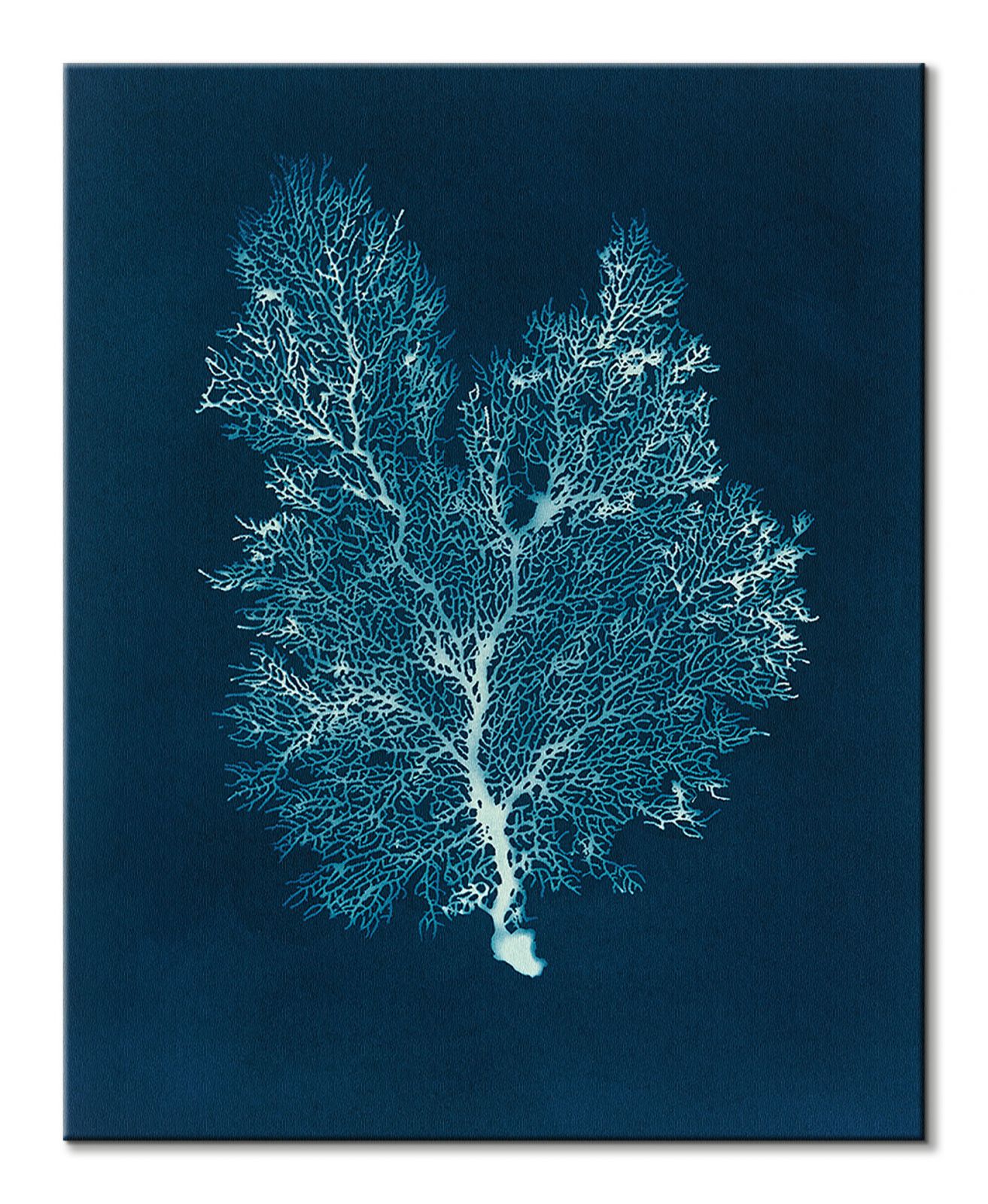 Sea Fan III - obraz na płótnie - obrazek 2