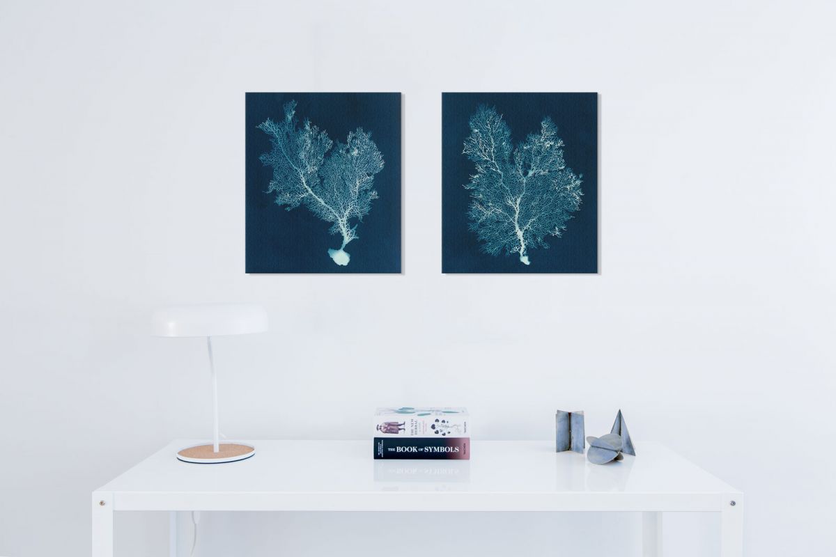 Sea Fan III - obraz na płótnie - obrazek 4